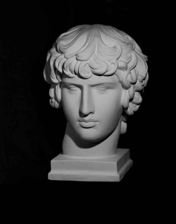 Голова Антиноя, гипс (арт.10-102) фото 1 &mdash; PalitraMastera