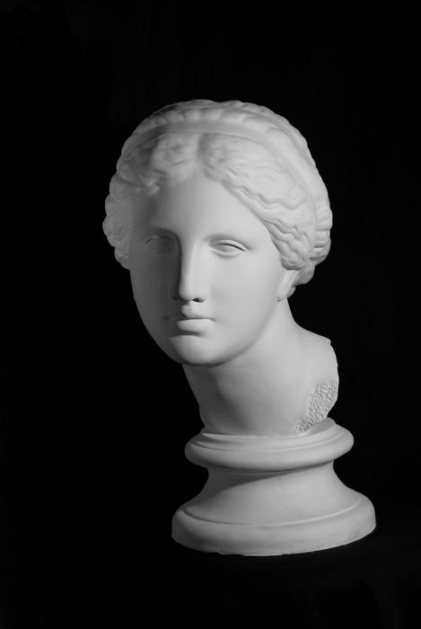 Голова Афродиты, гипс (арт.10-110) — PalitraMastera