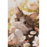 SP027 - Набор для рисования по номерам 'Милый котенок на ромашковом поле', 20*30см, Cristyle фото 1 — PalitraMastera