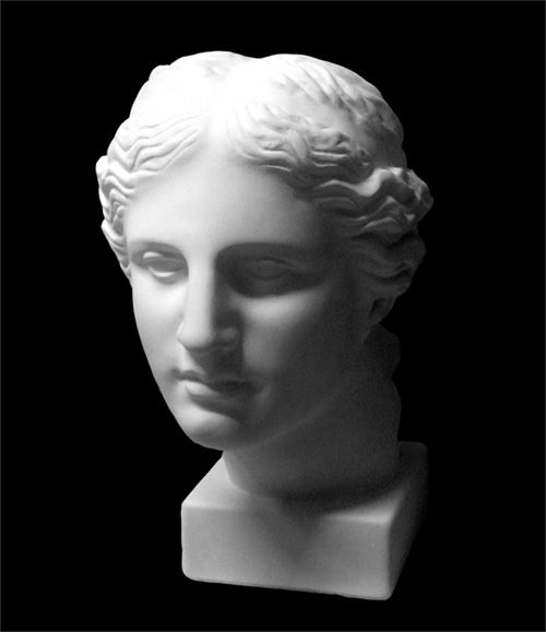 Голова Венеры, гипс (10-106) — PalitraMastera