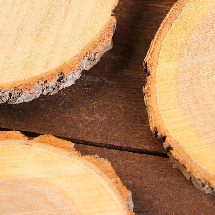 Набор спилов дуба 3шт 11х12х1см 10167469 — PalitraMastera