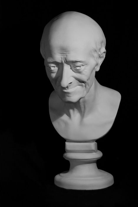 Голова Вольтера, гипс (арт.10-108) — PalitraMastera