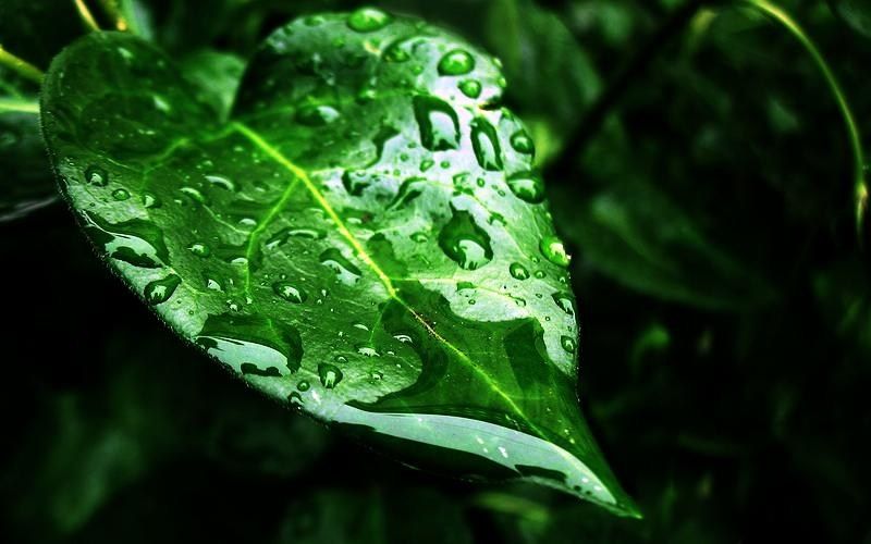 02-0003 Каттер Лист универсальный (средний) АКЦИЯ!!!--- фото 1 — PalitraMastera