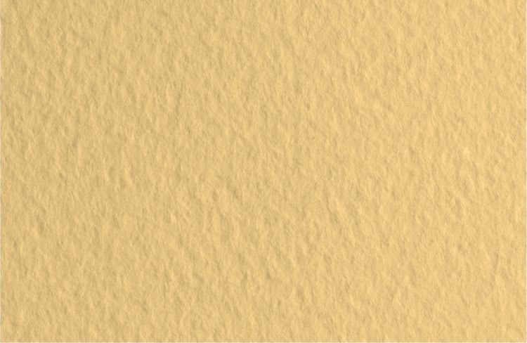 Бумага для пастели 50х65 Tiziano 160 г /05 насыщ. кремовый (Zabaione) — PalitraMastera