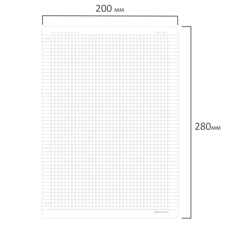 Сменный блок для тетради на кольцах БОЛЬШОЙ А4 120л, BRAUBERG, ПОВЫШЕННОЙ ПЛОТНОСТИ, белый, 404516 — PalitraMastera