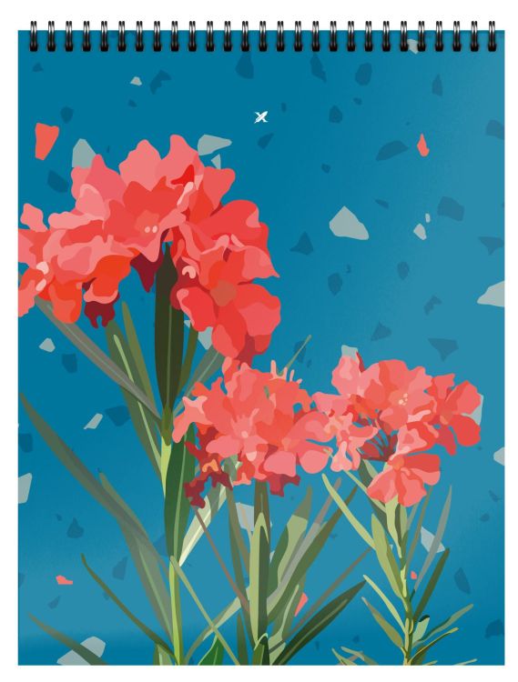 Блокнот А5 60 л. в точку LOREX AESTHETIC греб. мел. карт. soft touch — PalitraMastera