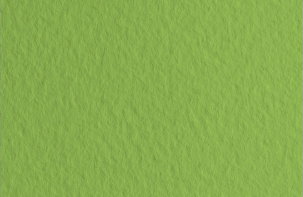 Бумага для пастели 50х65 Tiziano 160 г /14 оливковый (Muschio) фото 1 &mdash; PalitraMastera