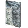 Блокнот А5, 134х206мм, 80л, твёрдый, клетка, STAFF, Котики, 114413 фото 1 &mdash; PalitraMastera