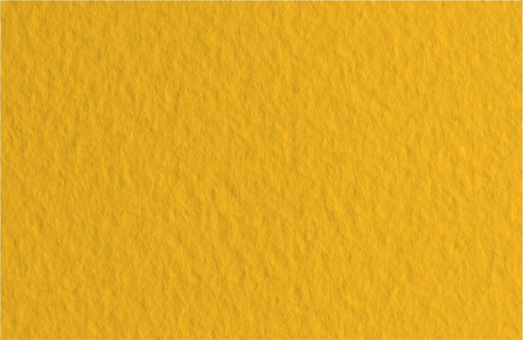 Бумага для пастели 50х65 Tiziano 160 г /21 оранжевый (Arancio) &mdash; PalitraMastera