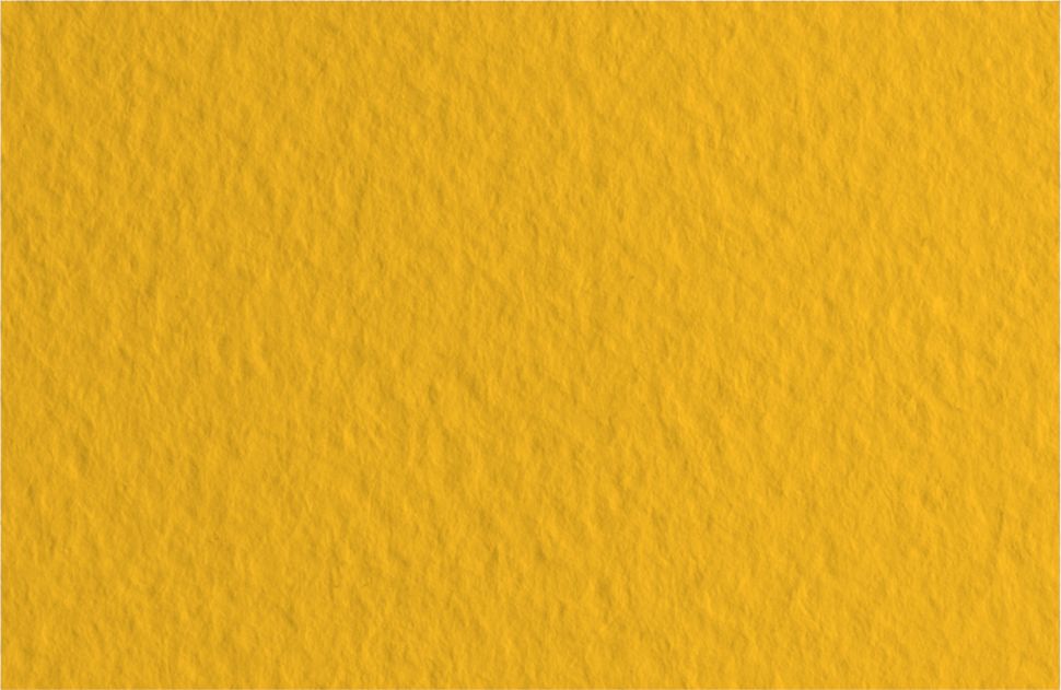 Бумага для пастели 50х65 Tiziano 160 г /21 оранжевый (Arancio) фото 1 &mdash; PalitraMastera