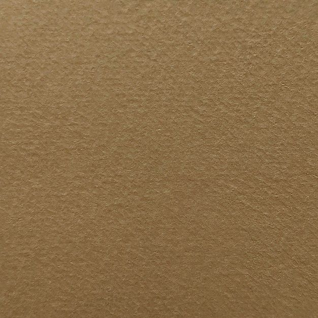 Бумага рисовальная цветная (светло-коричневая), 200гр. А-2 &mdash; PalitraMastera