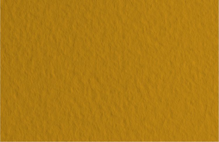 Бумага для пастели 50х65 Tiziano 160 г /06 песочный (Mandorla) — PalitraMastera