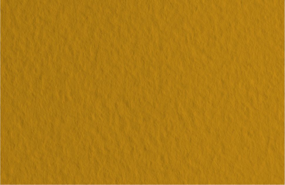 Бумага для пастели 50х65 Tiziano 160 г /06 песочный (Mandorla) фото 1 &mdash; PalitraMastera