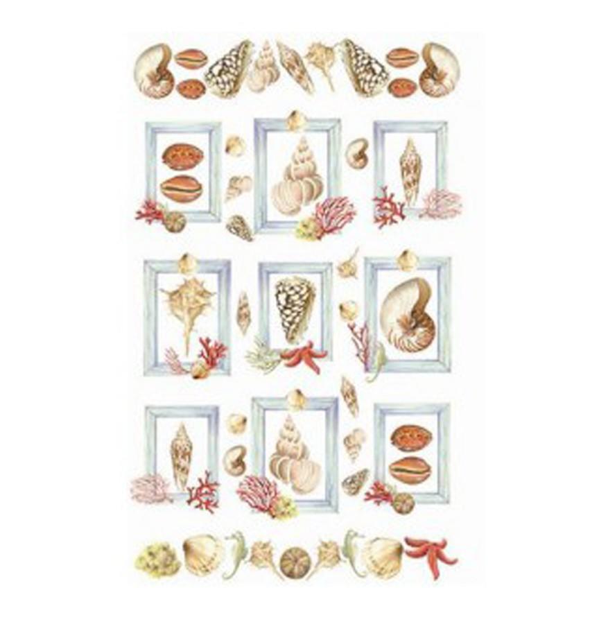 Салфетки д/декупажа бум рис 30*50 №507 ракушки CT188900 CT188900 АКЦИЯ!!! фото 1 — PalitraMastera