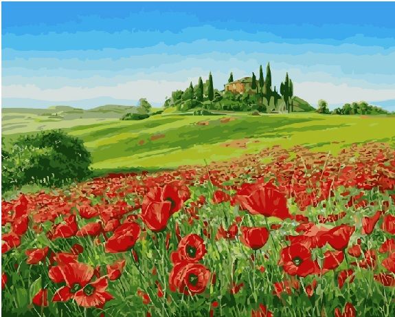 Картина по номерам GX 8856 Поле маков 40*50 фото 1 &mdash; PalitraMastera