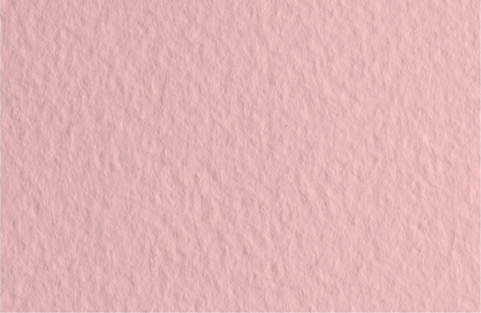 Бумага для пастели 50х65 Tiziano 160 г /25 розовый (Rosa) фото 1 &mdash; PalitraMastera
