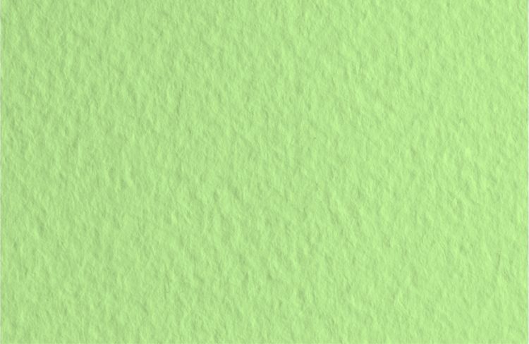 Бумага для пастели 50х65 Tiziano 160 г /11 салатовый теплый (Verduzzo) — PalitraMastera