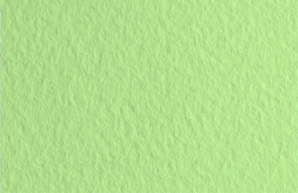 Бумага для пастели 50х65 Tiziano 160 г /11 салатовый теплый (Verduzzo) фото 1 &mdash; PalitraMastera