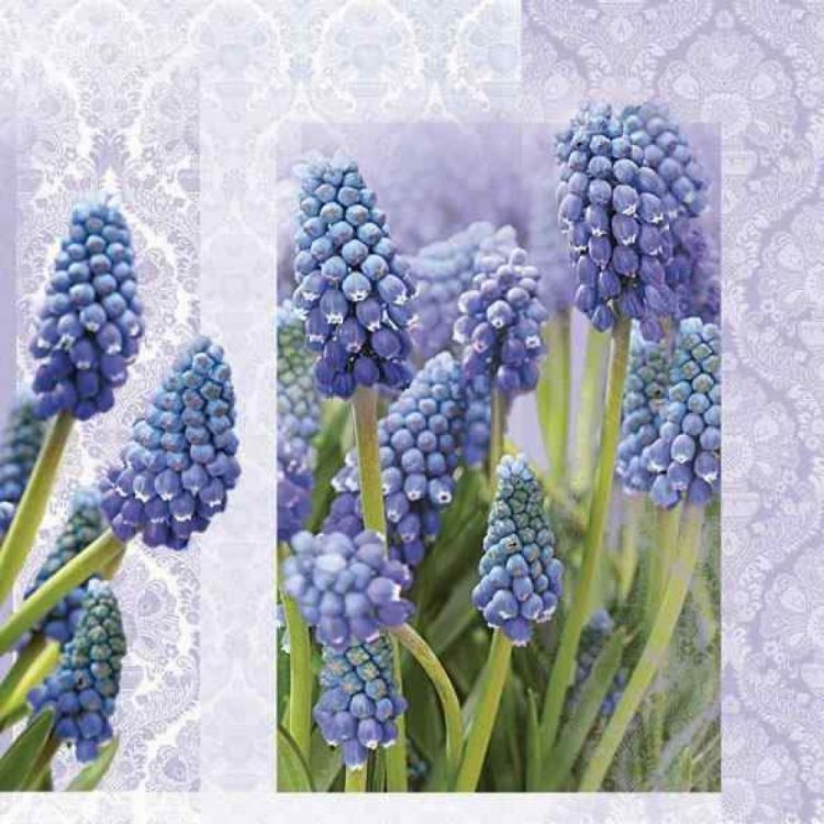 Салфетки - трехслойные, Daisy, коллекция &quot;На каждый день&quot; — PalitraMastera