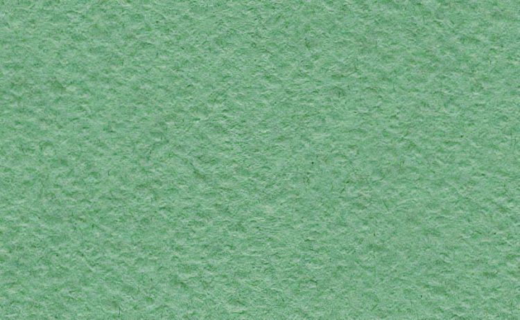 Бумага рисовальная А3 зеленая 200 г/м2. — PalitraMastera