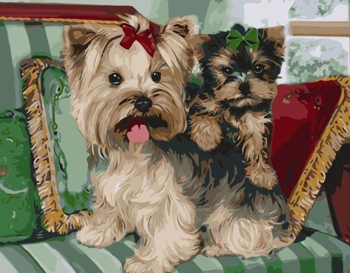 GX 8907 Йоркширские терьеры фото 1 &mdash; PalitraMastera