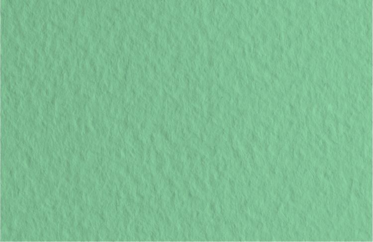Бумага для пастели 50х65 Tiziano 160 г /13 серо-зеленый/шалфей (Salvia) — PalitraMastera