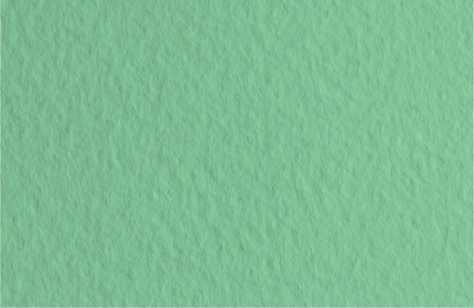 Бумага для пастели 50х65 Tiziano 160 г /13 серо-зеленый/шалфей (Salvia) фото 1 &mdash; PalitraMastera