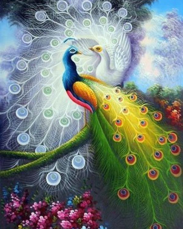 Картины по номерам 40х50 Павлины (VA-1345) — PalitraMastera