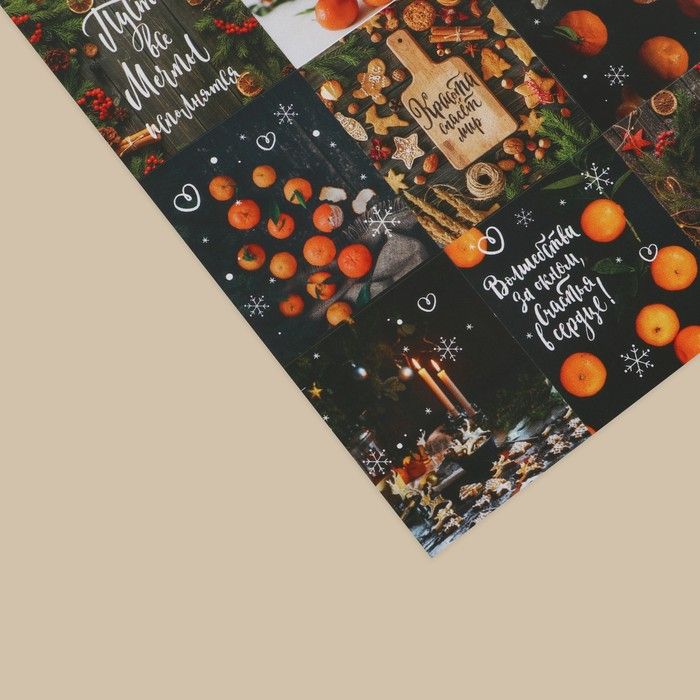 Наклейки бумажные «Мандарин», 11 * 15,5 см — PalitraMastera