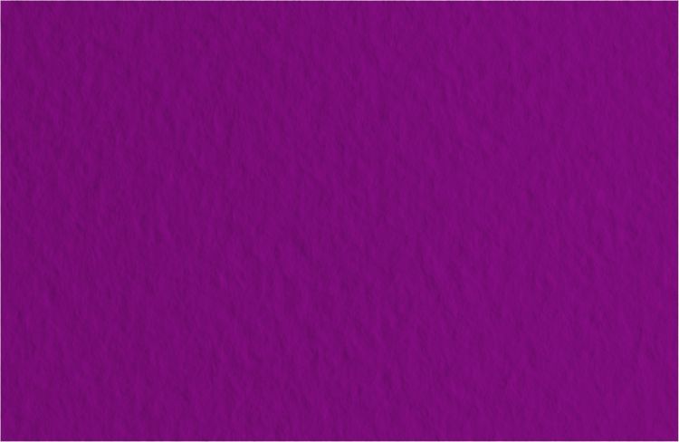 Бумага для пастели 50х65 Tiziano 160 г /23 серо-фиолетовый (Amaranto) — PalitraMastera