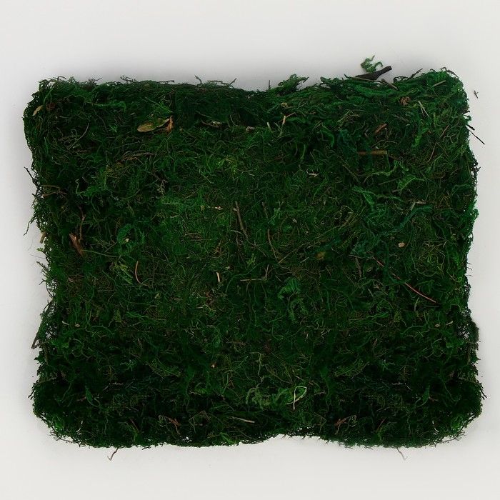 Мох для декора, 80 г, размер: 3 * 20 * 15 см фото 1 — PalitraMastera