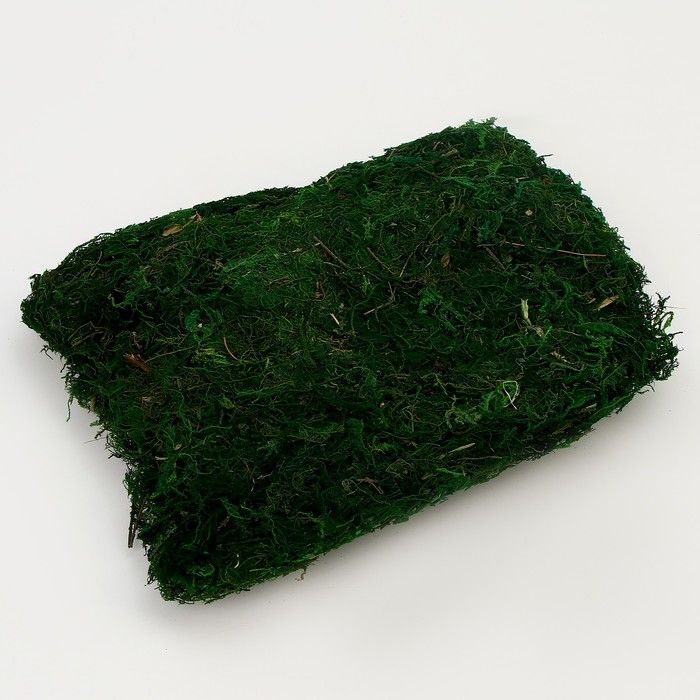 Мох для декора, 80 г, размер: 3 * 20 * 15 см — PalitraMastera