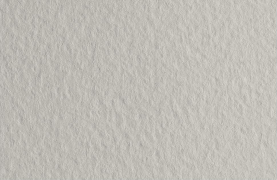 Бумага для пастели 50х65 Tiziano 160 г /26 серый светлый (Perla) фото 1 &mdash; PalitraMastera