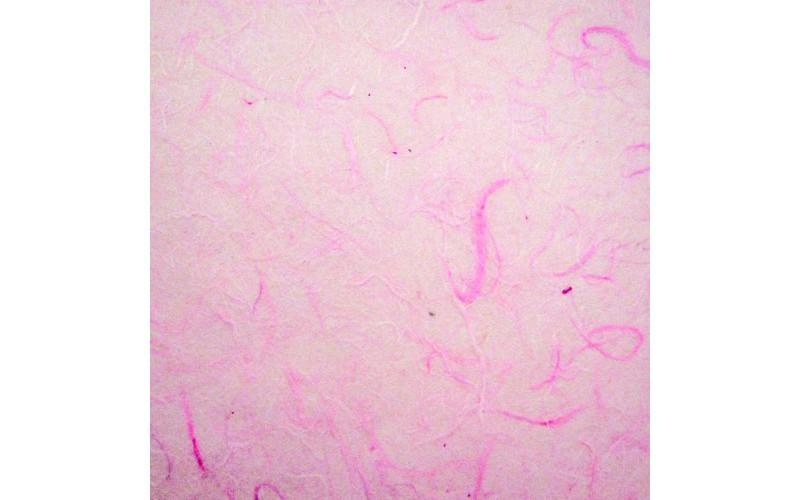 Рисовая бумага для декупажа фоновая "Craft Premier", 29,7х42см, 25г/м, розовый фото 1 — PalitraMastera