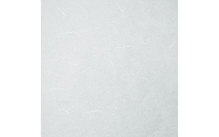Рисовая бумага для декупажа фоновая &quot;Craft Premier&quot;, 29,7х42см, 25г/м, белый CP00028 — PalitraMastera