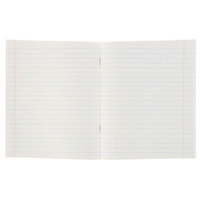 Тетрадь 48 листов в линейку Calligrata &quot;Мегаполис&quot;, обложка мелованная бумага, блок №2 белизна 75% (серые листы), МИКС — PalitraMastera