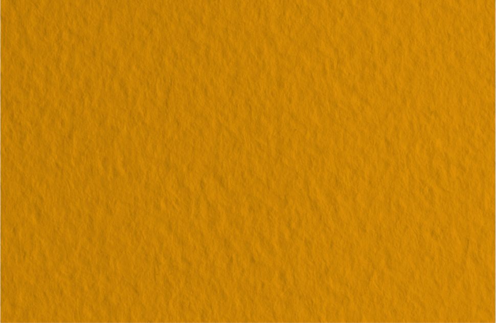 Бумага для пастели 50х65 Tiziano 160 г /07 сиена (Terra di Siena) фото 1 &mdash; PalitraMastera