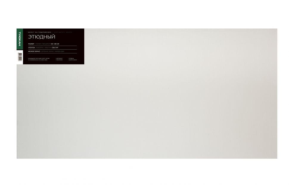 40х80 холст грунтованный этюдный фото 1 — PalitraMastera