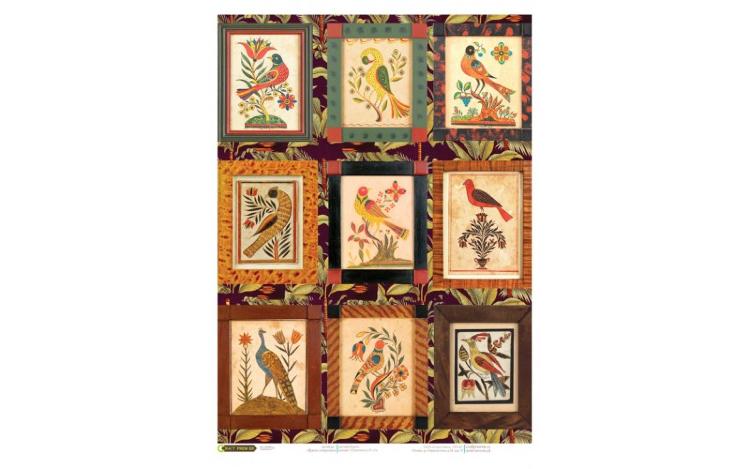 Рисовая бумага для декупажа &quot;Яркое оперенье&quot;,&quot;Craft Premier&quot;, A3, 25г/м — PalitraMastera