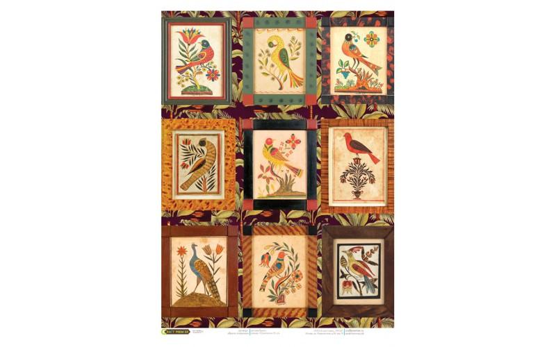 Рисовая бумага для декупажа "Яркое оперенье","Craft Premier", A3, 25г/м фото 1 — PalitraMastera