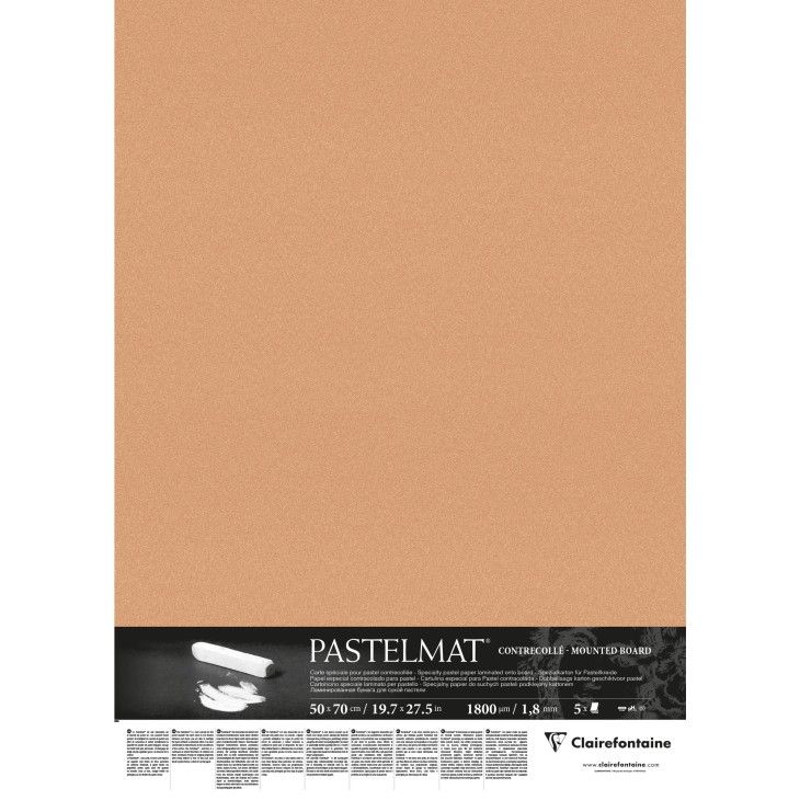 Бумага PASTELMAT, пастельные цвета, 1 лист, 360 гр/м2, 29х20 см, цвет сиена фото 1 &mdash; PalitraMastera