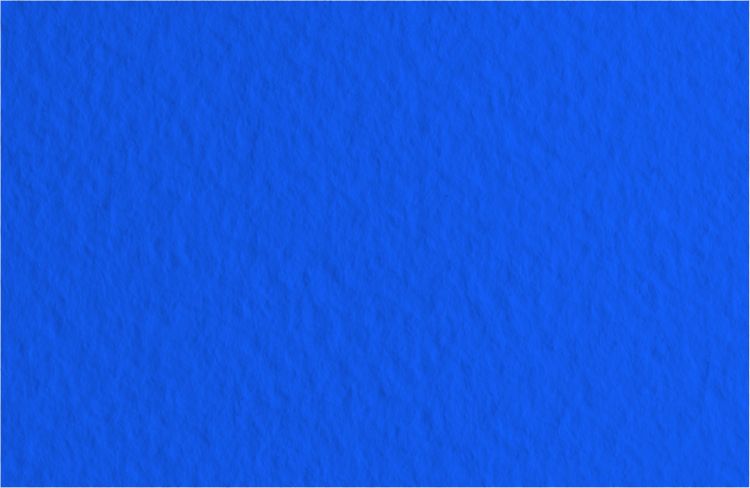 Бумага для пастели 50х65 Tiziano 160 г /19 ультрамарин (Danubio) — PalitraMastera