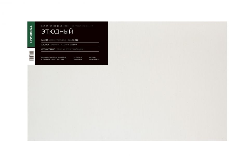 30х50 холст грунтованный этюдный фото 1 — PalitraMastera