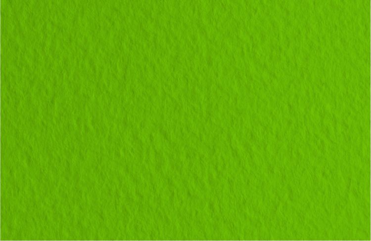 Бумага для пастели 50х65 Tiziano 160 г /43 фисташковый (Pistacchio) — PalitraMastera