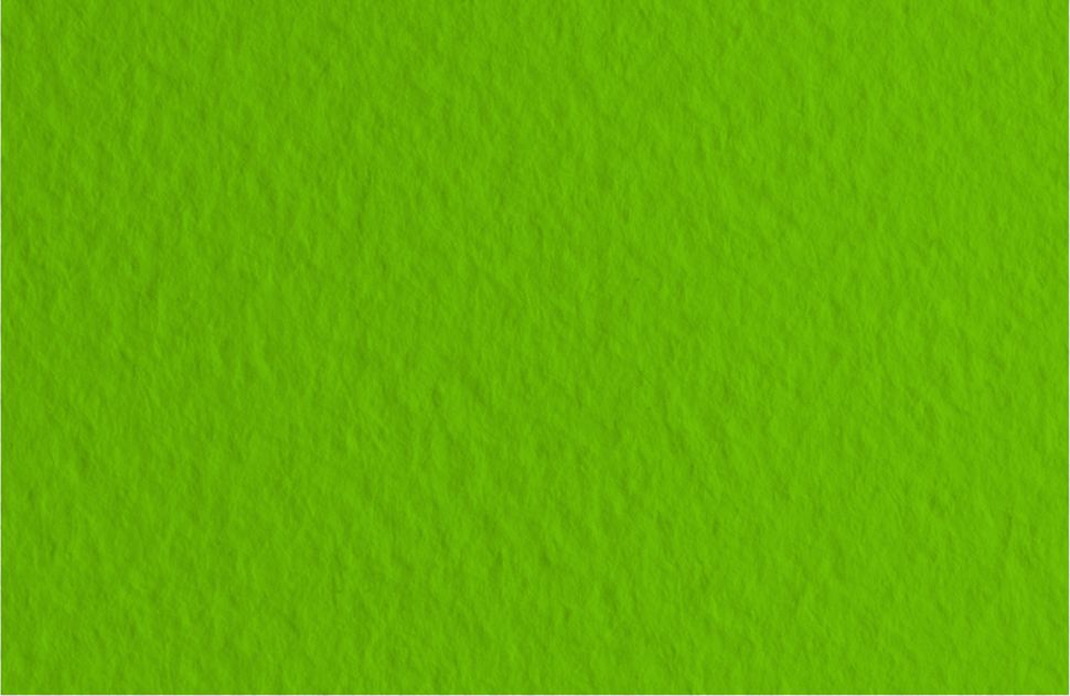 Бумага для пастели 50х65 Tiziano 160 г /43 фисташковый (Pistacchio) фото 1 &mdash; PalitraMastera