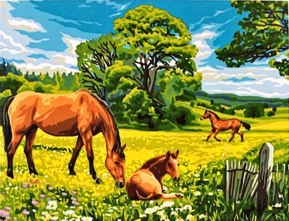 Картина по номерам EX 5269 Солнечный луг 30*40 фото 1 &mdash; PalitraMastera