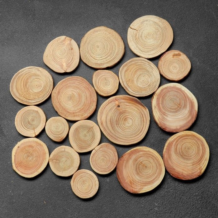Спил дерева &quot;Лиственницы&quot;, круглый, d=4-7 см, h=5 мм — PalitraMastera