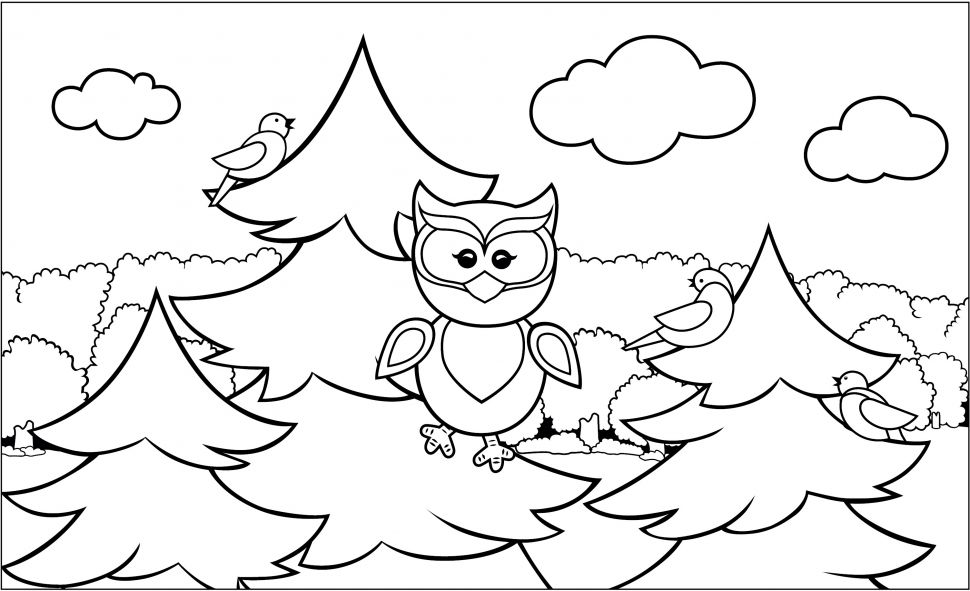 Цветик Холст на подрамнике с эскизом, "Совенок", 15х25см фото 1 &mdash; PalitraMastera