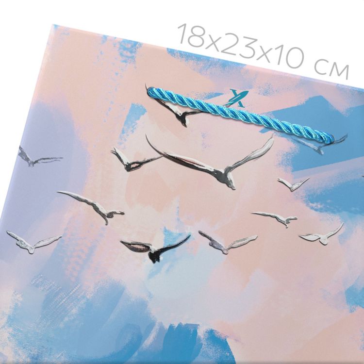 Пакет подар. малый LOREX GIFT BAG FLUFFY SKY 18х23х10 см — PalitraMastera