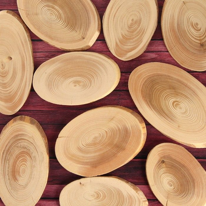 Спил дерева &quot;Еловый&quot;, овальный, d=4-8 см, h=3,5 мм — PalitraMastera
